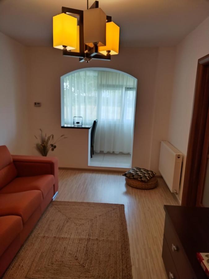 Chic Apartment 皮特什蒂 外观 照片